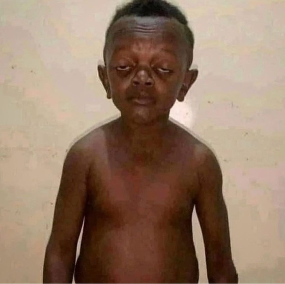 Meet your Posher, Roy - Picture 1 of 1